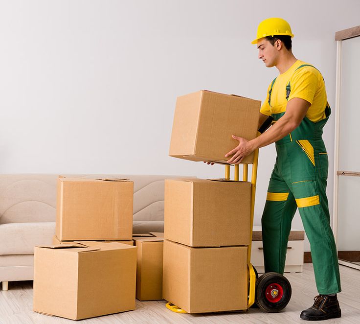 Packers and Movers Services