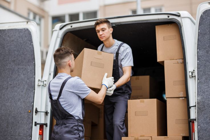 Who Are the Best Movers and Packers? 12 Movers and Packers